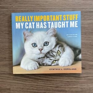 Really important stuff my cat has taught me book